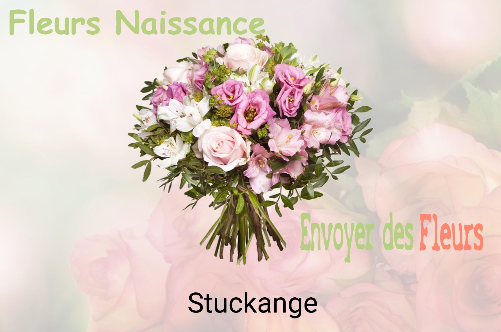 Bouquet de fleurs de naissance livré à Stuckange